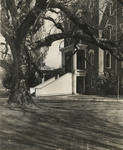 Pioneer Hall and the Old Oak, 1950