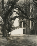 Pioneer Hall and the Old Oak, circa 1936-1939