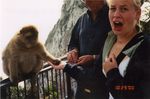 Feeding a Monkey at the Rock of Gibraltar