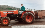 Barbara Dudley Drives a Tractor at Bethel Heights Vineyard