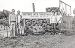 The Bethel Heights Vineyard Sign