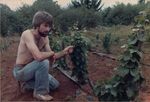 Elton Vineyards Planting 15