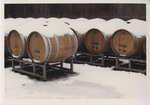 Snow-Covered Wine Barrels, 1983