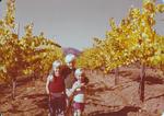 Three Girardet Children in the Vineyard