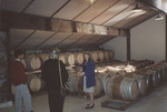 Maria Ponzi Among Wine Barrels