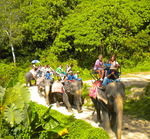 Riding Elephants