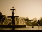Fountaine de Jardin du Mail by Whitney Wenthold