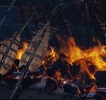 Salmon Baking Over Fire by Doreen Wynja