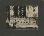 Nursing Students Under the Cedar 02 by Unknown