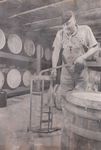 Wine Bottling Process by Unknown