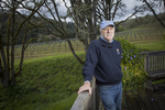 Stephen Cary at Yamhill Valley Vineyards 01 by Frank Miller