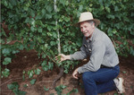 Arthur Weber with Grapes by Unknown