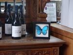 Elizabeth Chambers Cellar Wine Bottles and Butterfly Logo by Linfield College Archives