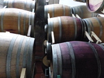 Wine Barrels at Elizabeth Chambers Cellar by Linfield College Archives