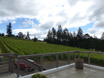 Lenné Estate Vineyard 01 by Linfield College Archives