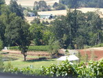 Eola Hills Wine Cellars Interview 03 by Linfield College Archives